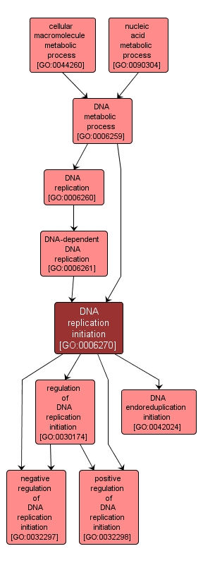 GO:0006270 - DNA replication initiation (interactive image map)