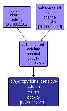 GO:0015270 - dihydropyridine-sensitive calcium channel activity (interactive image map)