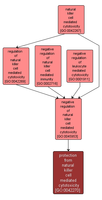 GO:0042270 - protection from natural killer cell mediated cytotoxicity (interactive image map)