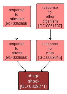 GO:0009271 - phage shock (interactive image map)