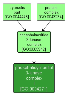 GO:0034271 - phosphatidylinositol 3-kinase complex I (interactive image map)