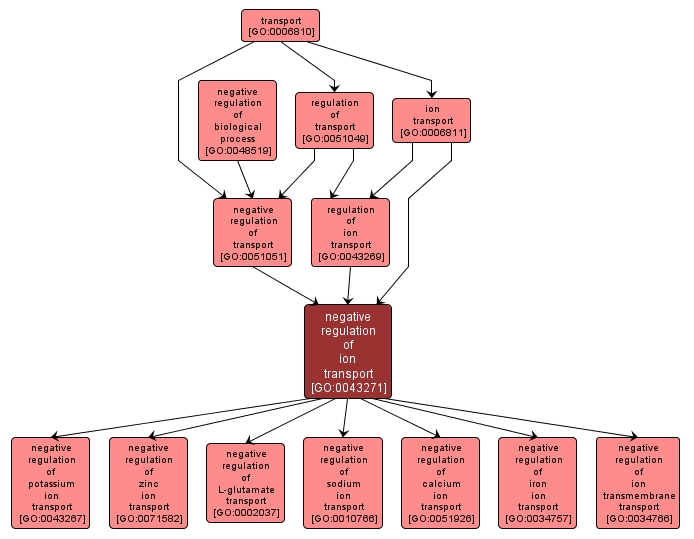 GO:0043271 - negative regulation of ion transport (interactive image map)
