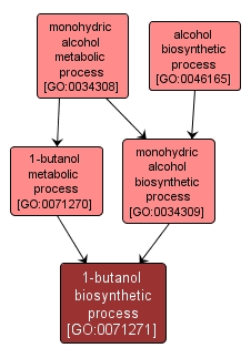 GO:0071271 - 1-butanol biosynthetic process (interactive image map)