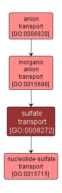 GO:0008272 - sulfate transport (interactive image map)