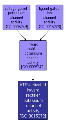 GO:0015272 - ATP-activated inward rectifier potassium channel activity (interactive image map)