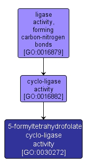 GO:0030272 - 5-formyltetrahydrofolate cyclo-ligase activity (interactive image map)