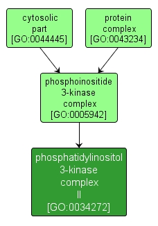 GO:0034272 - phosphatidylinositol 3-kinase complex II (interactive image map)
