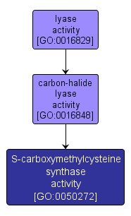 GO:0050272 - S-carboxymethylcysteine synthase activity (interactive image map)