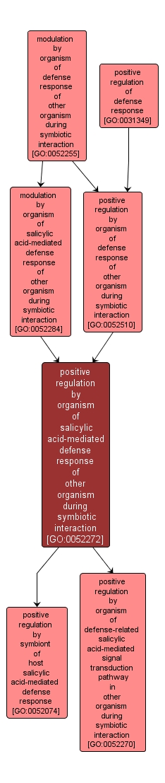 GO:0052272 - positive regulation by organism of salicylic acid-mediated defense response of other organism during symbiotic interaction (interactive image map)