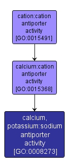 GO:0008273 - calcium, potassium:sodium antiporter activity (interactive image map)