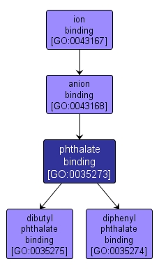 GO:0035273 - phthalate binding (interactive image map)