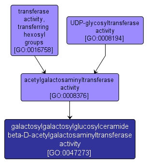 GO:0047273 - galactosylgalactosylglucosylceramide beta-D-acetylgalactosaminyltransferase activity (interactive image map)