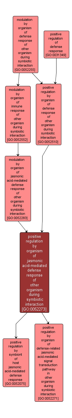 GO:0052273 - positive regulation by organism of jasmonic acid-mediated defense response of other organism during symbiotic interaction (interactive image map)