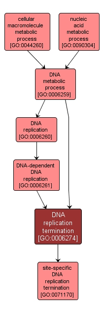 GO:0006274 - DNA replication termination (interactive image map)