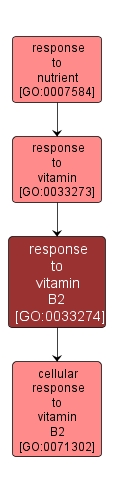 GO:0033274 - response to vitamin B2 (interactive image map)