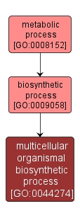 GO:0044274 - multicellular organismal biosynthetic process (interactive image map)