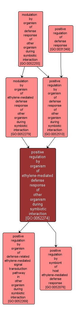 GO:0052274 - positive regulation by organism of ethylene-mediated defense response of other organism during symbiotic interaction (interactive image map)