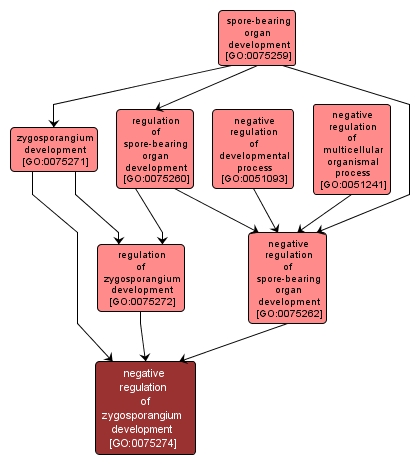 GO:0075274 - negative regulation of zygosporangium development (interactive image map)