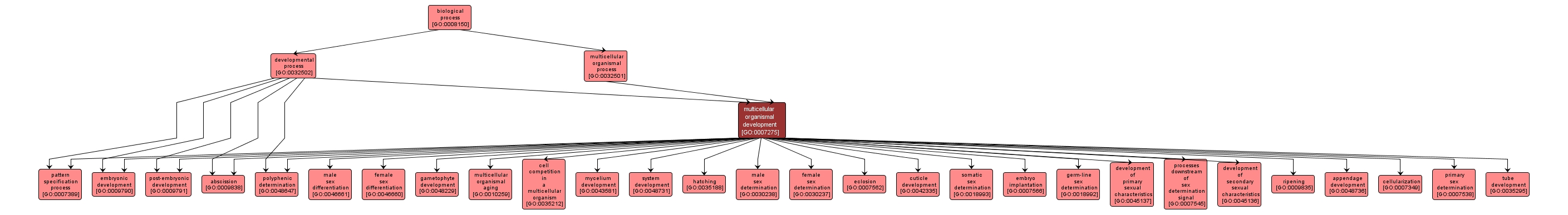 GO:0007275 - multicellular organismal development (interactive image map)