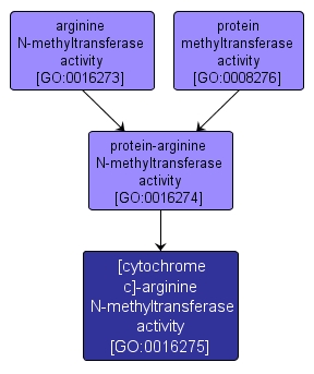 GO:0016275 - [cytochrome c]-arginine N-methyltransferase activity (interactive image map)