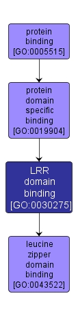 GO:0030275 - LRR domain binding (interactive image map)