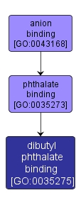 GO:0035275 - dibutyl phthalate binding (interactive image map)