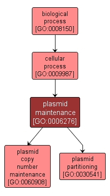 GO:0006276 - plasmid maintenance (interactive image map)