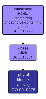 GO:0010276 - phytol kinase activity (interactive image map)