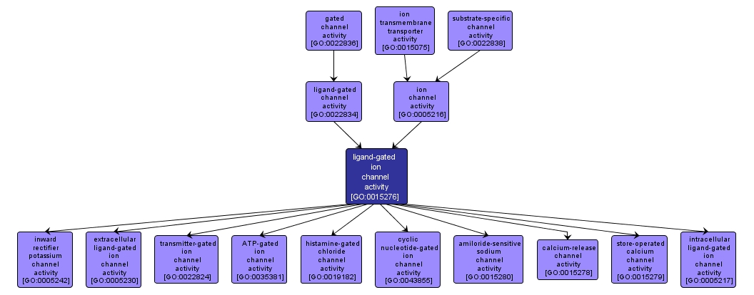 GO:0015276 - ligand-gated ion channel activity (interactive image map)