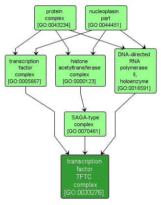 GO:0033276 - transcription factor TFTC complex (interactive image map)