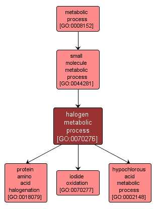 GO:0070276 - halogen metabolic process (interactive image map)