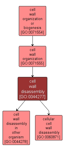 GO:0044277 - cell wall disassembly (interactive image map)