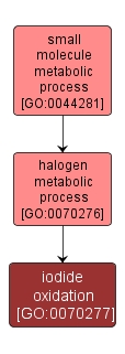 GO:0070277 - iodide oxidation (interactive image map)