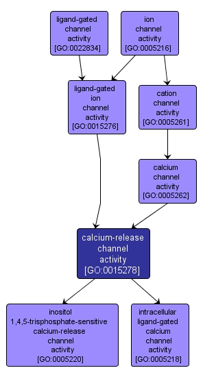 GO:0015278 - calcium-release channel activity (interactive image map)
