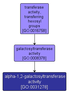 GO:0031278 - alpha-1,2-galactosyltransferase activity (interactive image map)