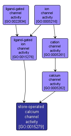 GO:0015279 - store-operated calcium channel activity (interactive image map)