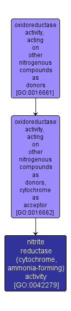 GO:0042279 - nitrite reductase (cytochrome, ammonia-forming) activity (interactive image map)