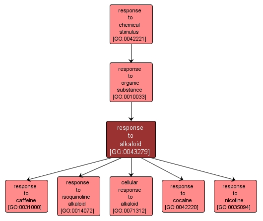 GO:0043279 - response to alkaloid (interactive image map)