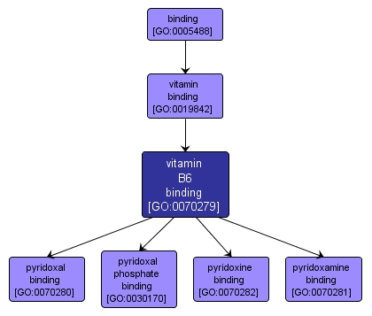 GO:0070279 - vitamin B6 binding (interactive image map)