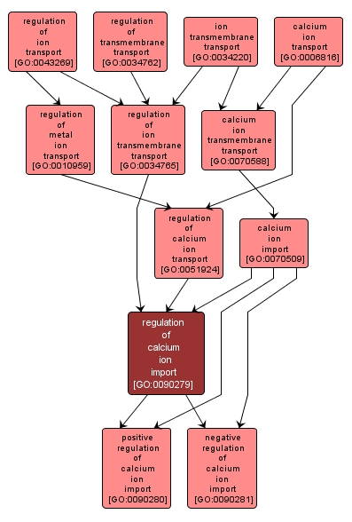 GO:0090279 - regulation of calcium ion import (interactive image map)