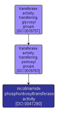 GO:0047280 - nicotinamide phosphoribosyltransferase activity (interactive image map)
