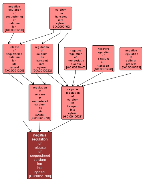 GO:0051280 - negative regulation of release of sequestered calcium ion into cytosol (interactive image map)