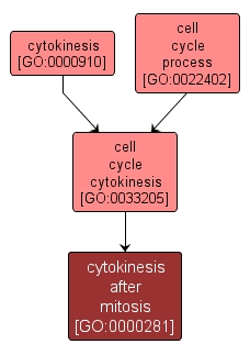 GO:0000281 - cytokinesis after mitosis (interactive image map)