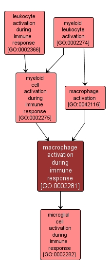 GO:0002281 - macrophage activation during immune response (interactive image map)