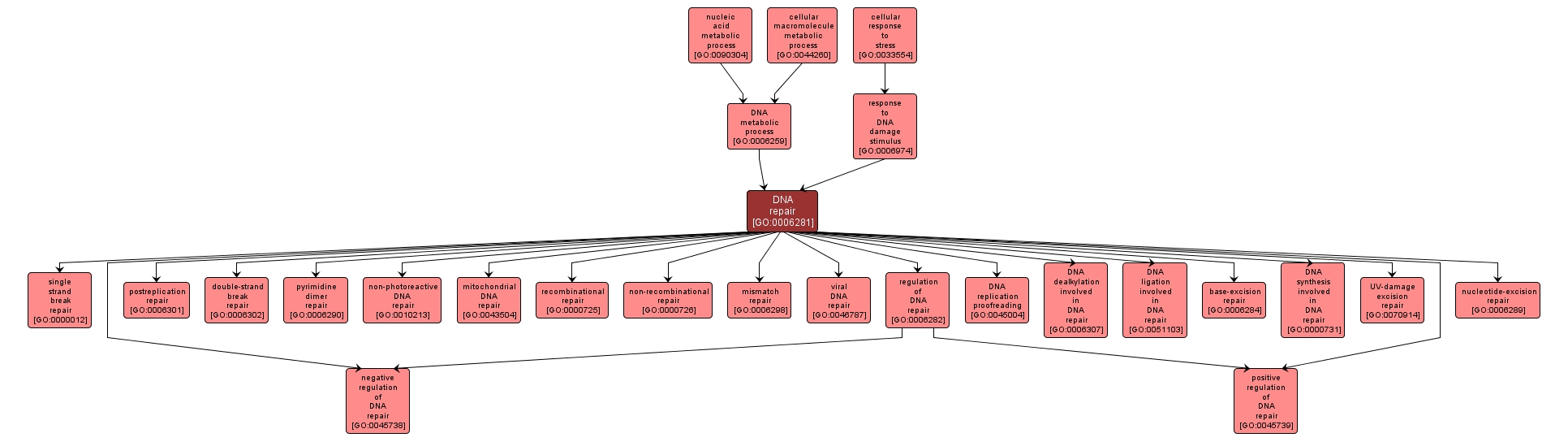 GO:0006281 - DNA repair (interactive image map)