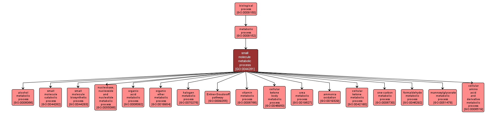 GO:0044281 - small molecule metabolic process (interactive image map)