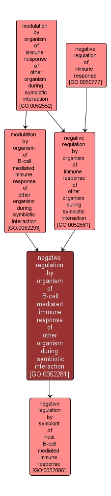 GO:0052281 - negative regulation by organism of B-cell mediated immune response of other organism during symbiotic interaction (interactive image map)