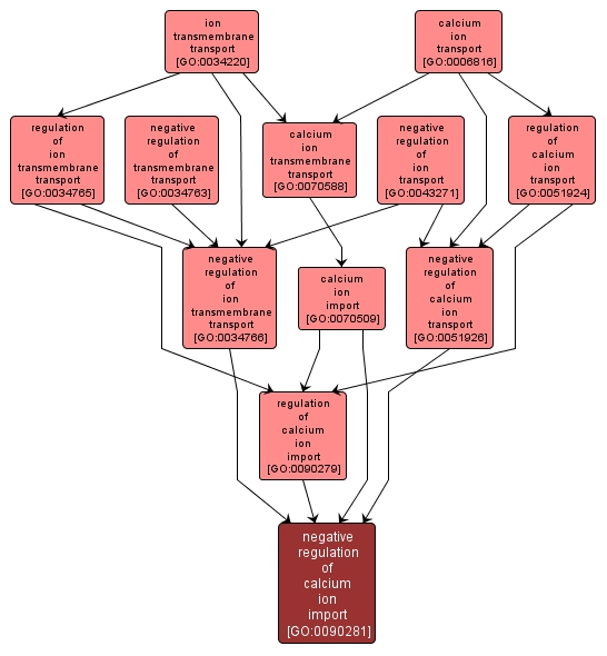 GO:0090281 - negative regulation of calcium ion import (interactive image map)