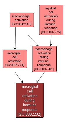 GO:0002282 - microglial cell activation during immune response (interactive image map)