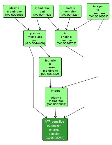 GO:0008282 - ATP-sensitive potassium channel complex (interactive image map)